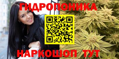 MDMA Premium VHQ Аргун