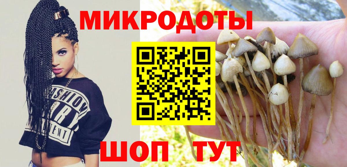 Галлюциногенные грибы MAGIC MUSHROOMS Богородицк